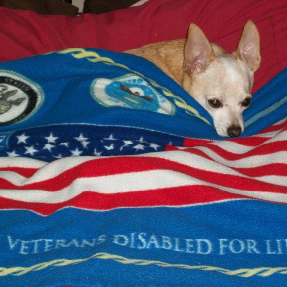 Meet your Posher, Cindy - Picture 3 of 6